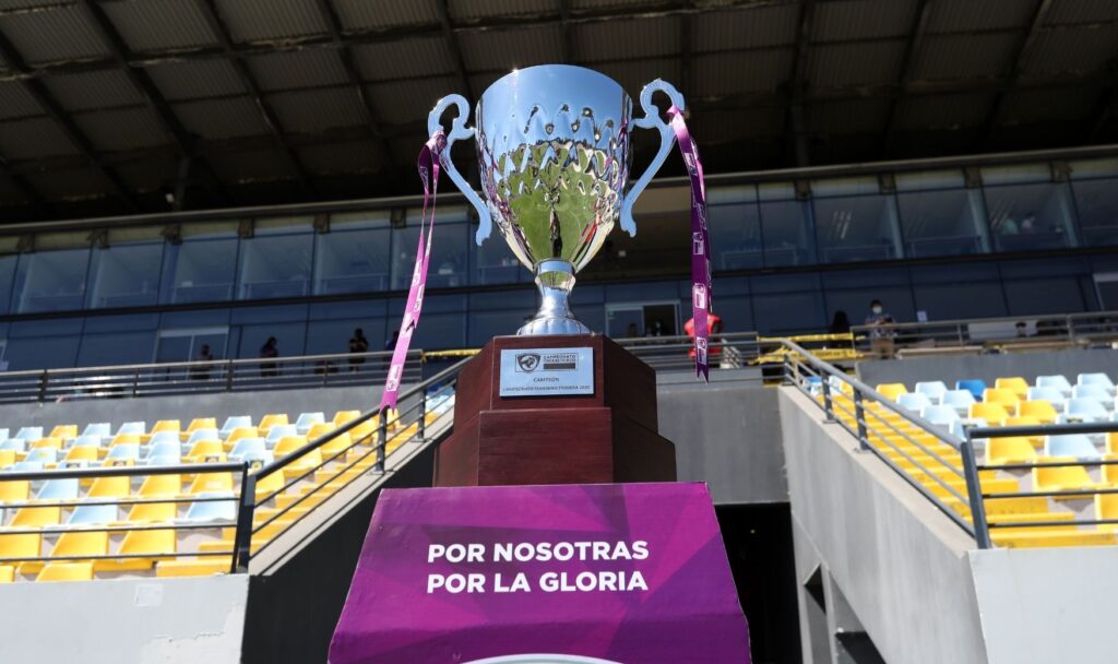 Copa Campeonato Transición 2020