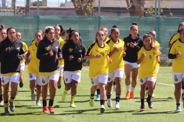 Fernández Vial anticipa cambio de cuerpo técnico para la temporada 2021