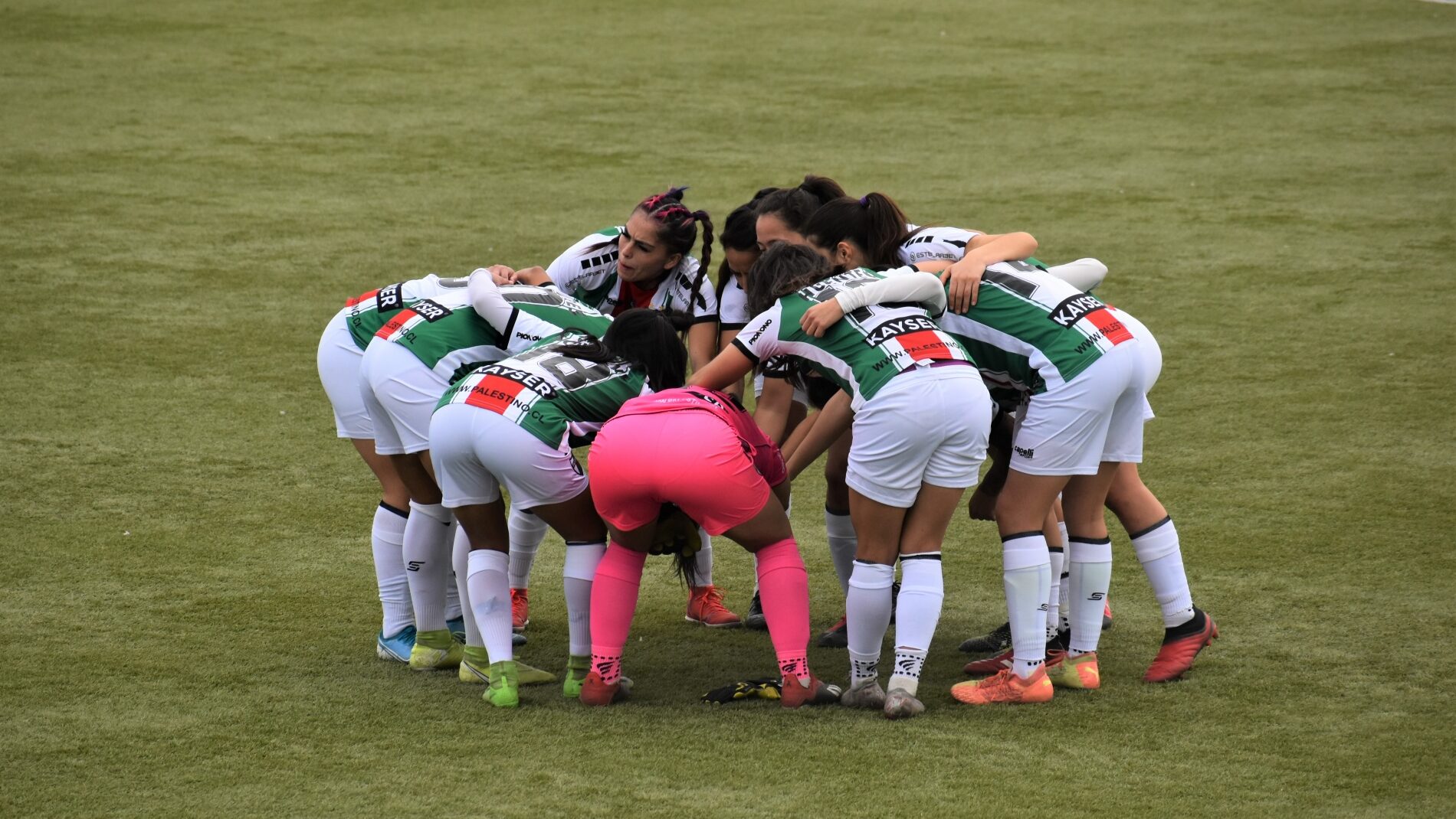 Deportes Antofagasta luchó hasta el final pero no pudo con Palestino