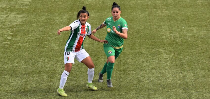 Palestino vs Audax Italiano