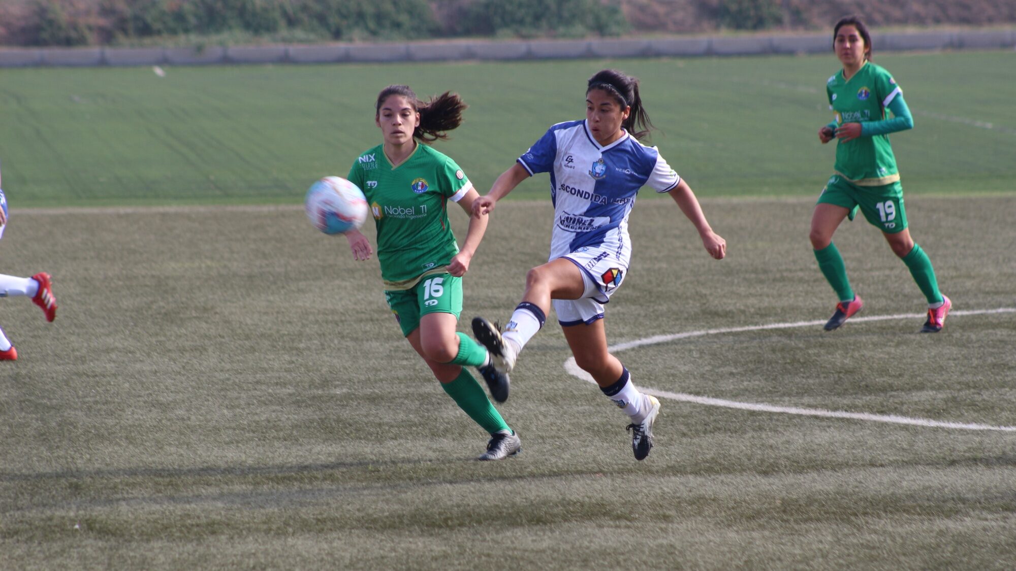 Audax Italiano vs Deportes Antofagasta 17