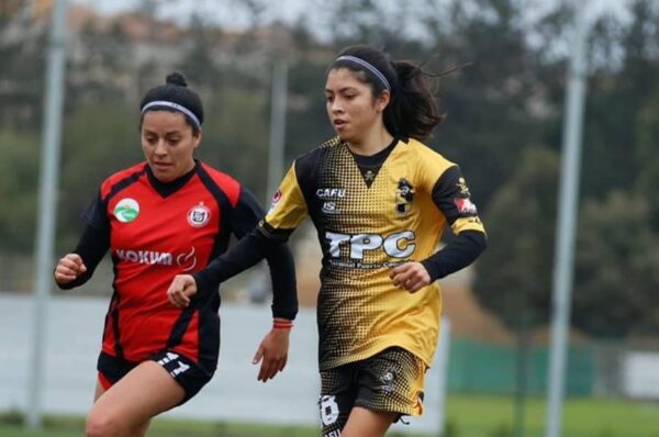 Los 9 equipos que participarán y los 3 que renunciaron a la Primera B 2021