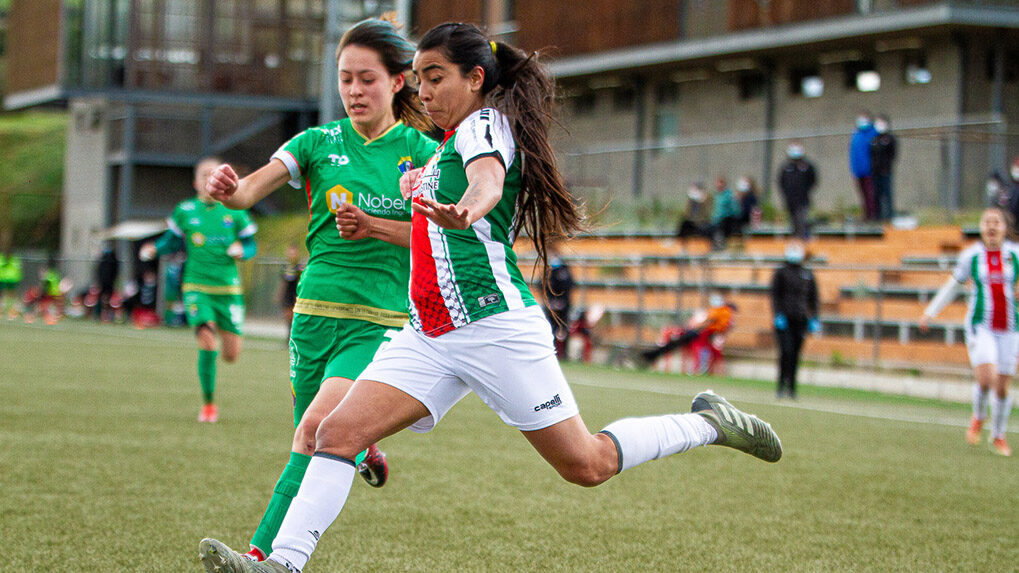 Palestino vs Audax Italiano