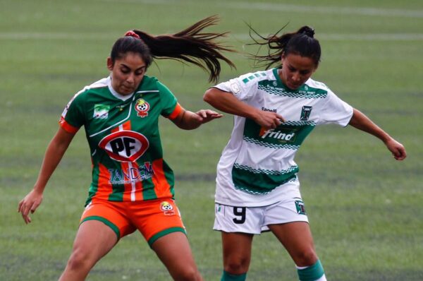 Descensos: Wanderers y Cobresal bajan a Primera B y La Serena y Temuco irán a repechaje