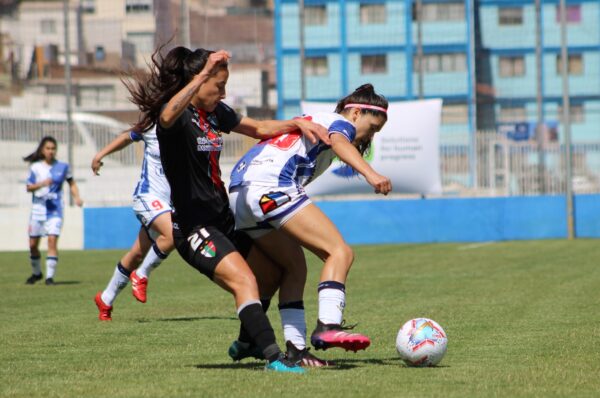Deportes Antofagasta cayó categóricamente ante Palestino y ambos aseguraron su clasificación a play-offs