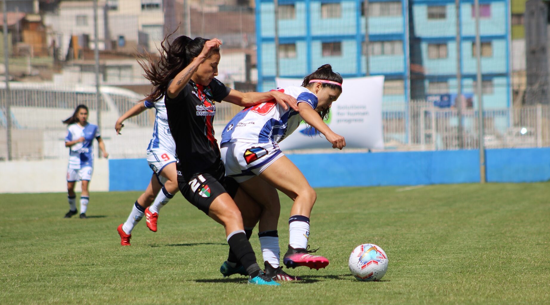 Jugadora de Palestino vs de Antofagasta