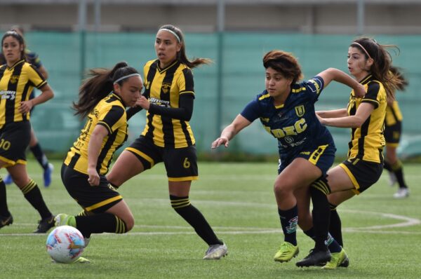 Fernández Vial y la U de Conce sacan chispas en el Clásico del Biobío