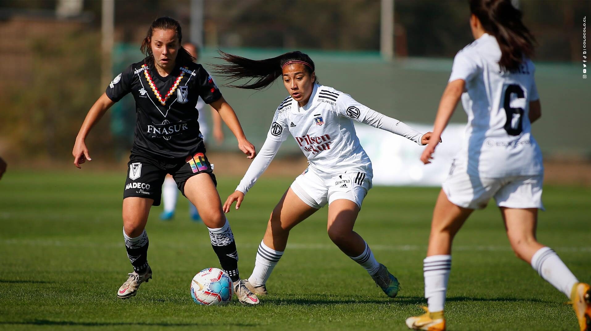 Confirmado: Santiago Morning vs Colo-Colo será transmitido por DirecTV