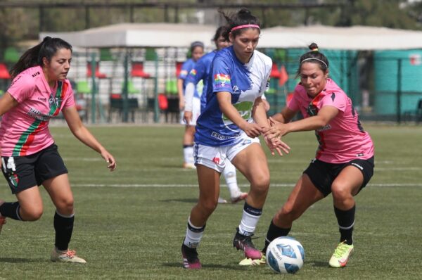 Palestino no tuvo problemas para vencer a Deportes Antofagasta