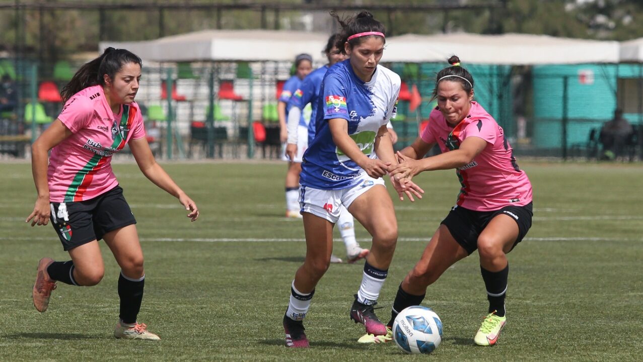 antofagasta vs palestino