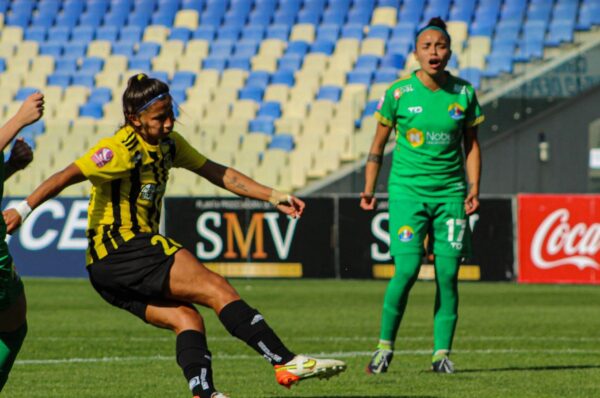 Fernández Vial golea sin complicaciones a Audax Italiano