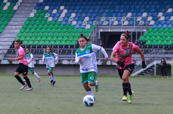 Palestino termina con el invicto de Deportes Puerto Montt en Chinquihue