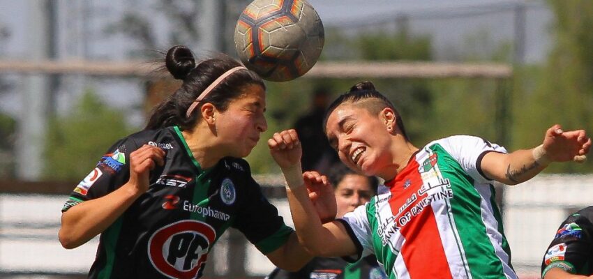 dpm vs palestino fecha 5