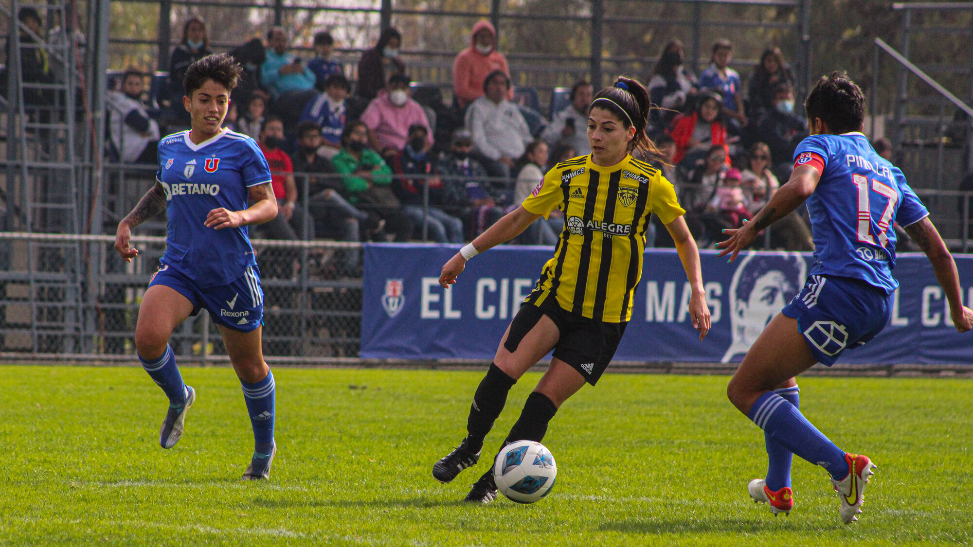 Universidad de Chile