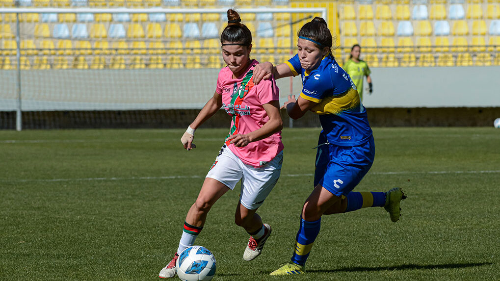 Everton y Palestino se van en tablas desde Viña del Mar