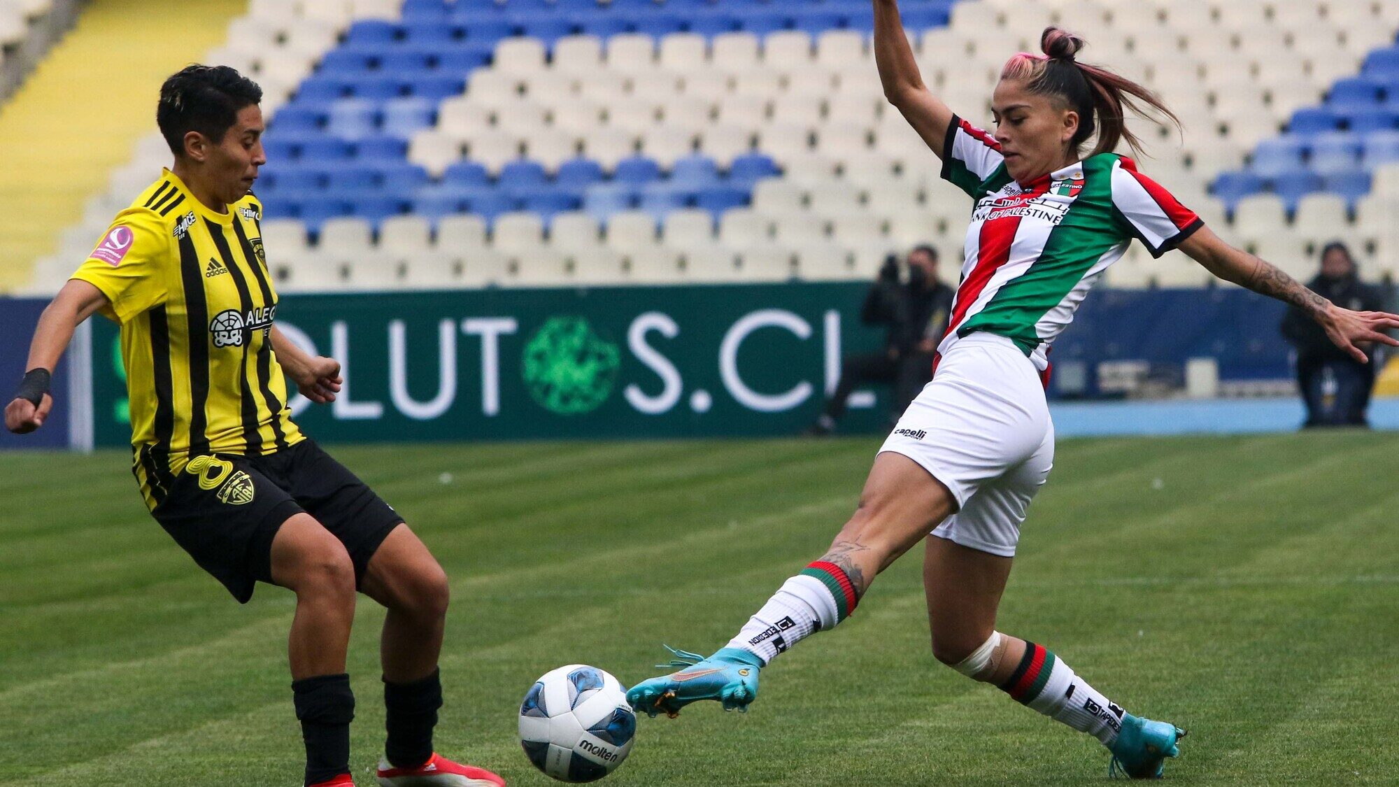 Fernández Vial y Palestino reparten puntos en el Ester Roa