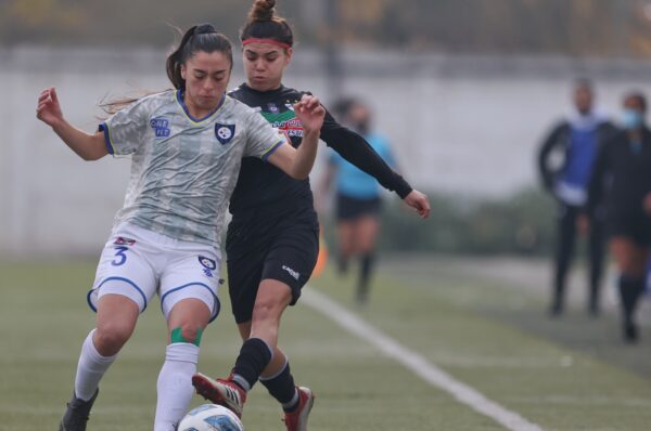 Palestino se hace fuerte de local y vence cómodamente a Huachipato