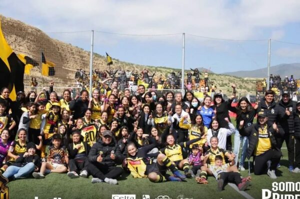 Coquimbo Unido vence a Deportes Temuco y sube a Primera