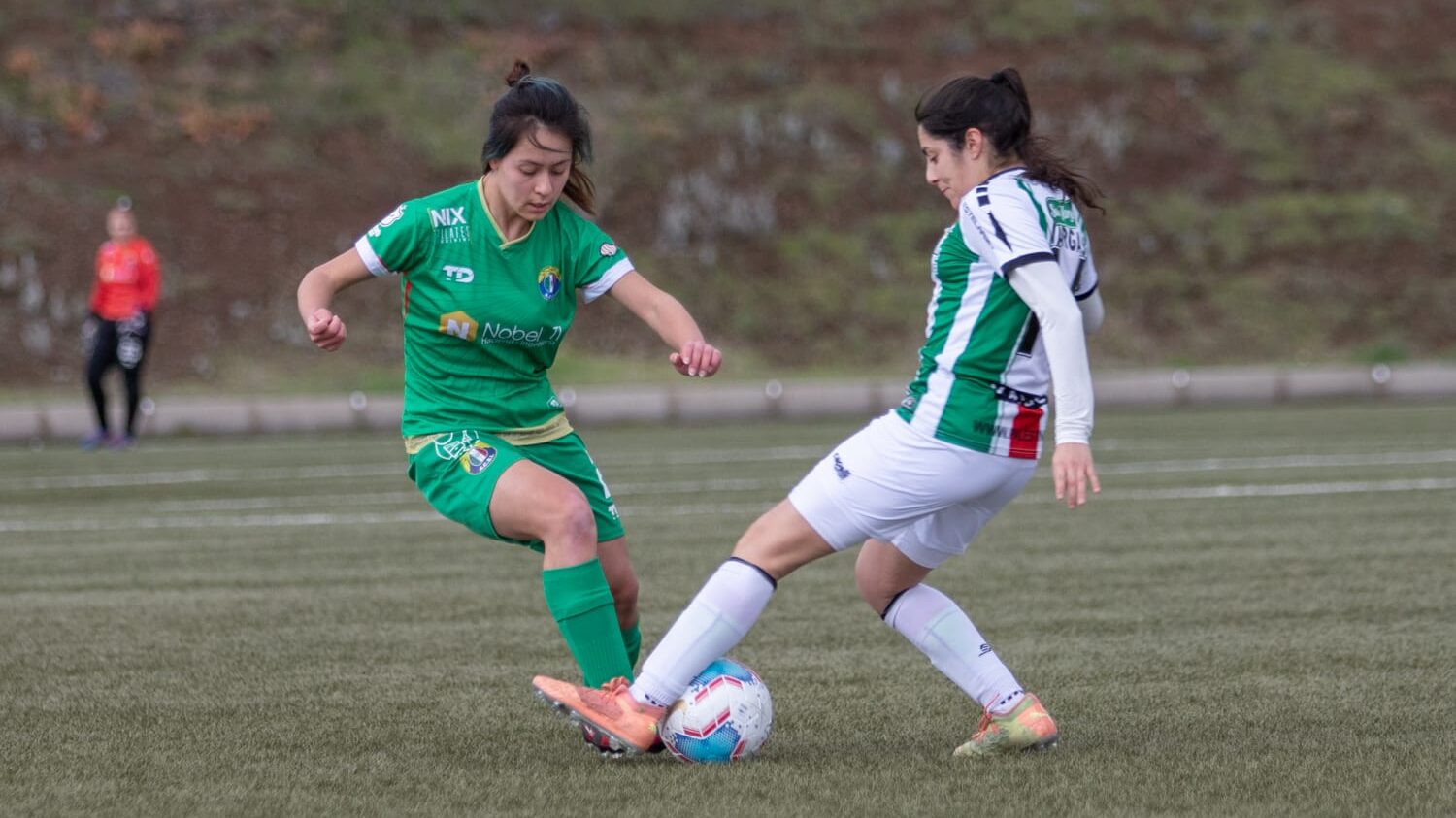 fecha 15 audax vs palestino