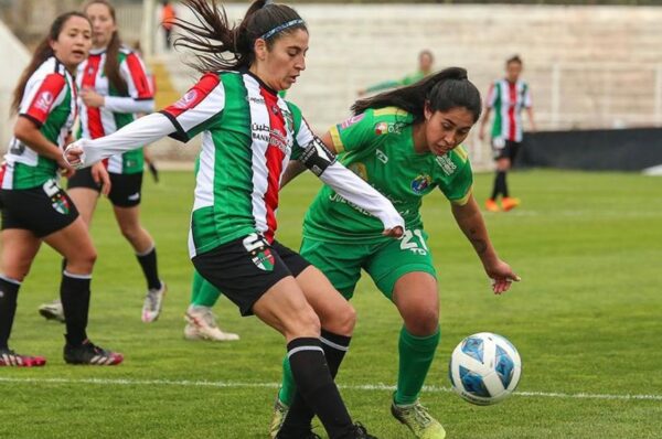 Audax Italiano vence a Palestino y peleará los play-offs