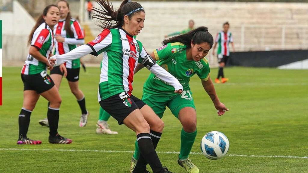 Audax Italiano vence a Palestino y peleará los play-offs