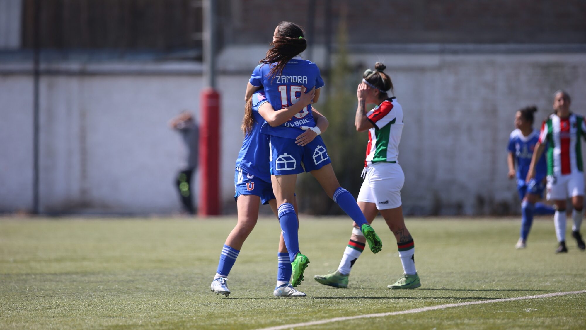 palestino vs u de Chile