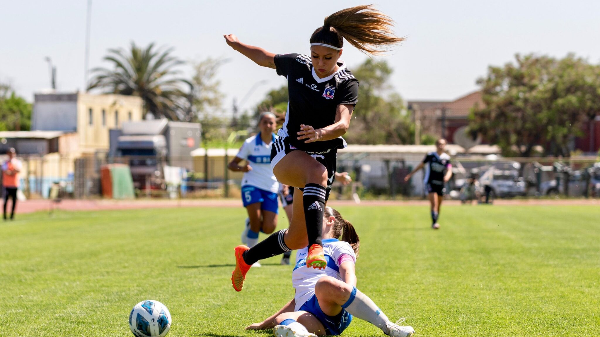 colo colo vs universidad catolica