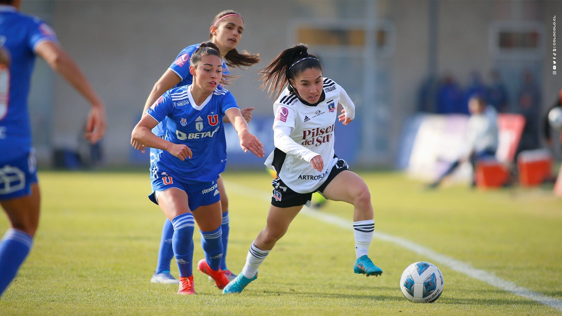 ¿Cómo y dónde ver en vivo la fecha 6 del Campeonato Femenino 2022?