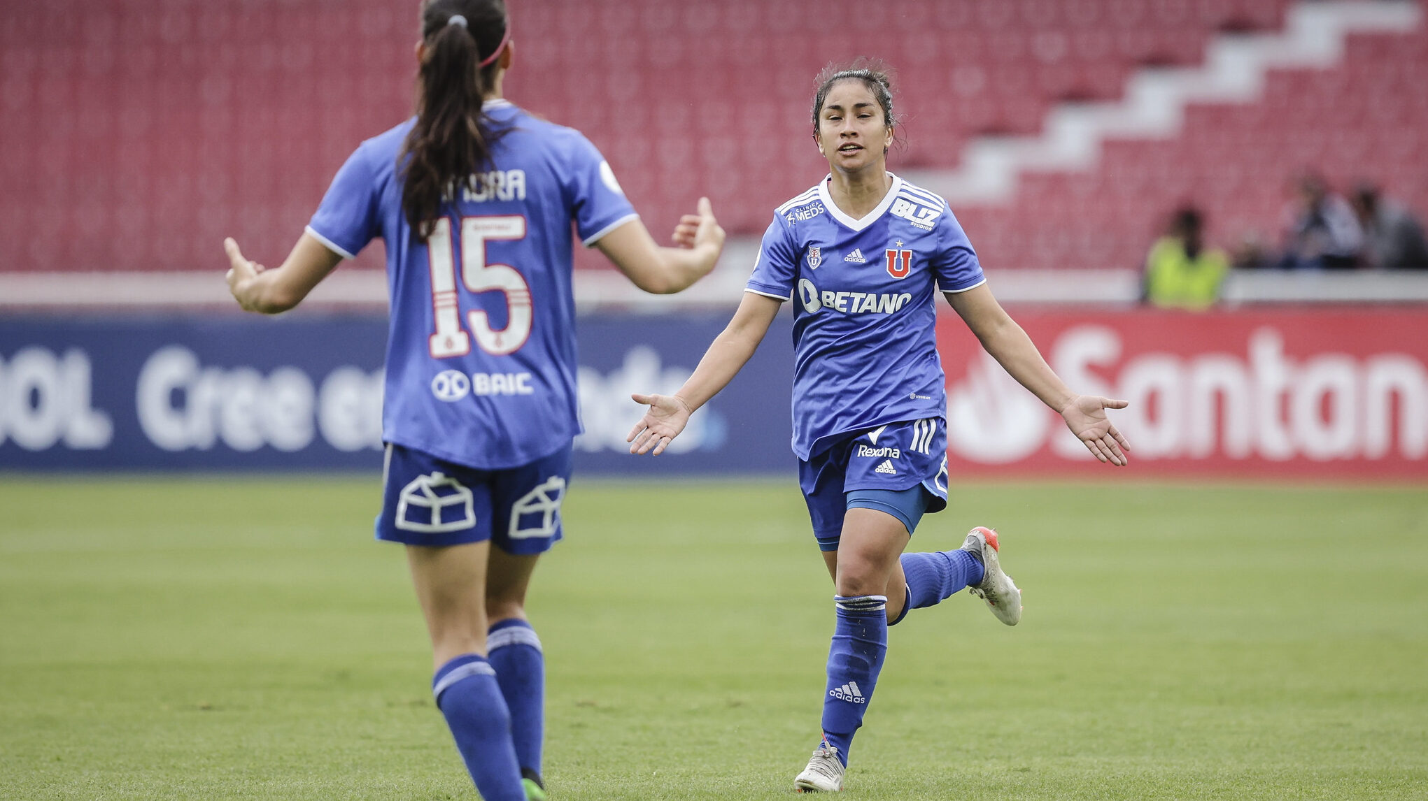 rebeca fernandez u de Chile libertadores