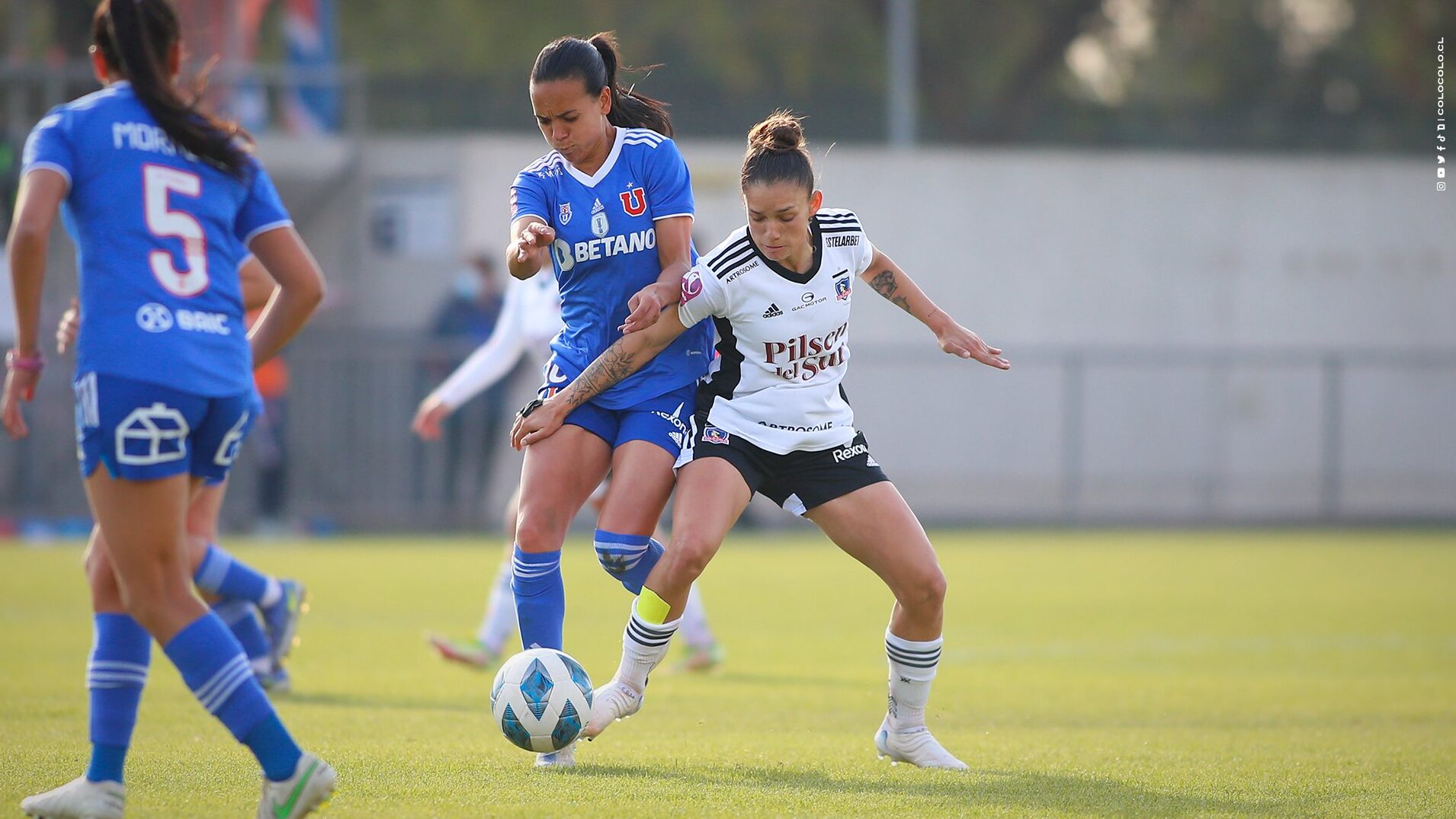 final colo colo vs u de Chile femenino