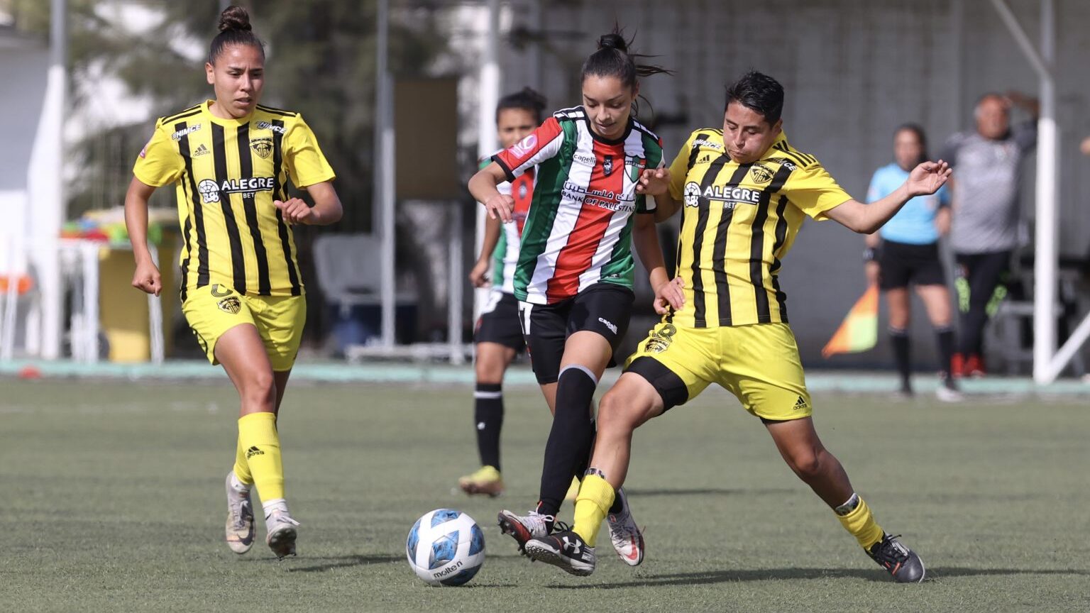 Se juega: ANFP decide no suspender Palestino vs Fernández Vial