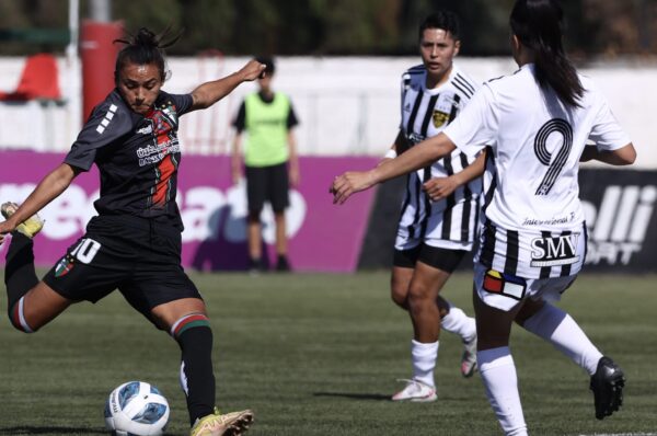 Palestino da el primer golpe y derrota por goleada a Fernández Vial