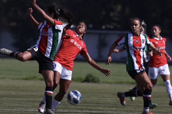 Palestino derrota a Universidad Católica en apretado partido