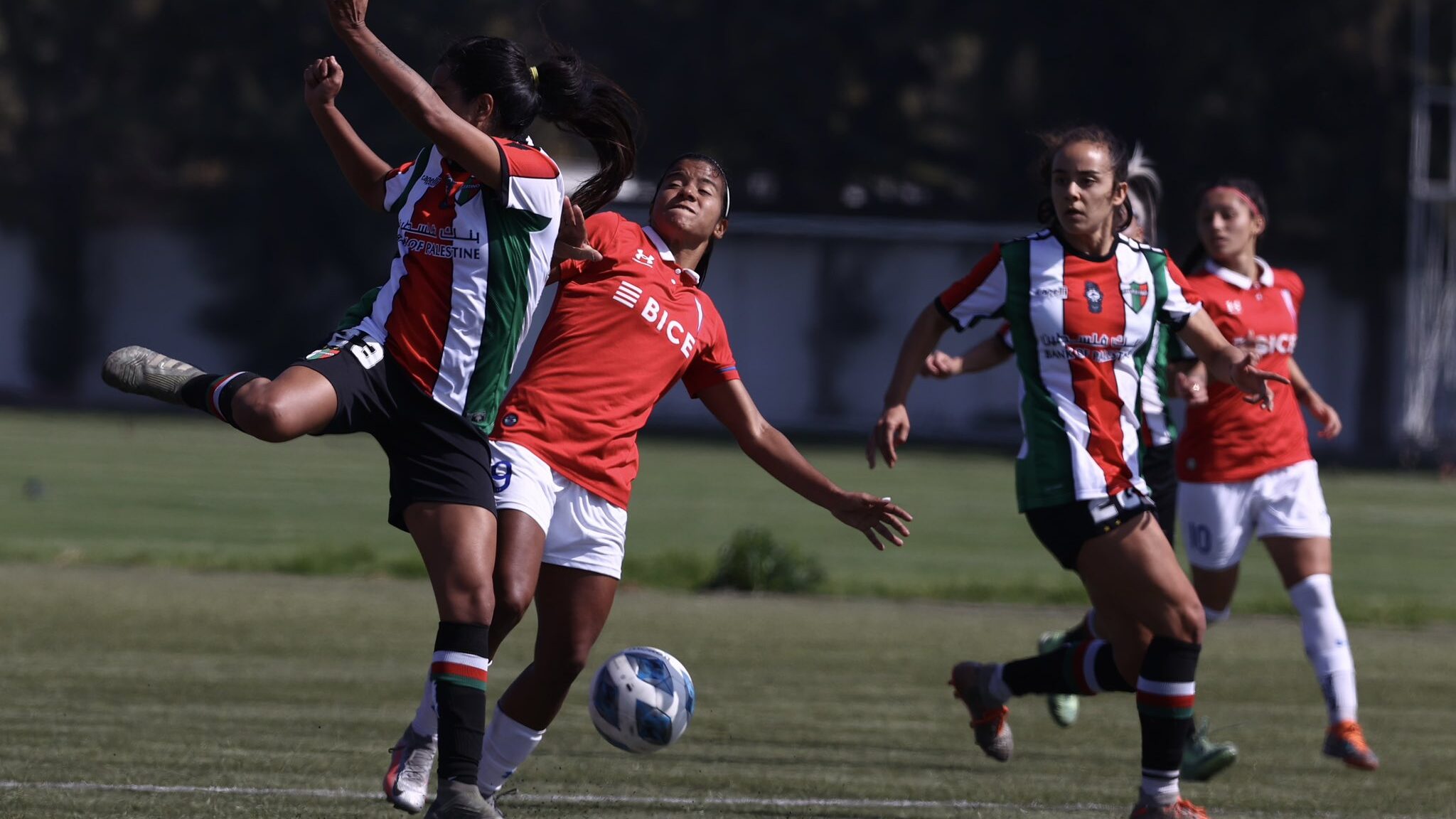 Palestino derrota a Universidad Católica en apretado partido