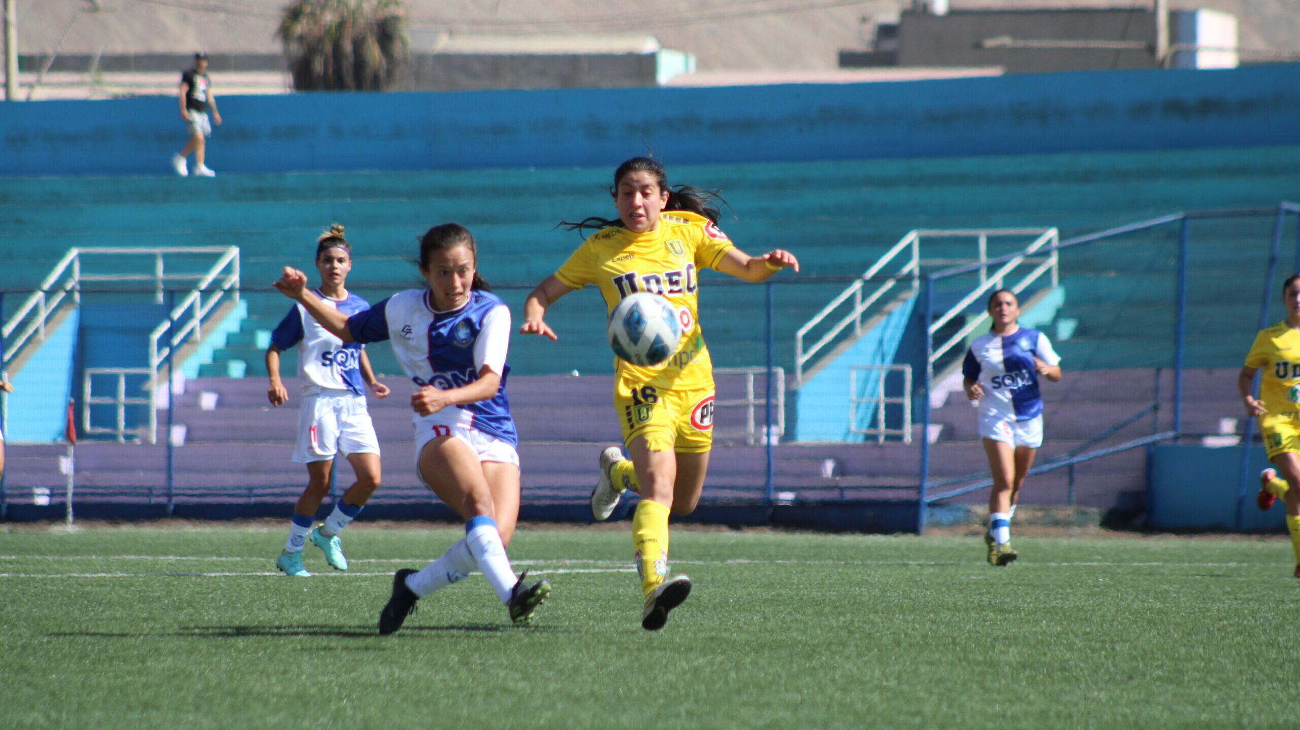 En un partido de infarto Deportes Antofagasta gana en el final a U de Concepción