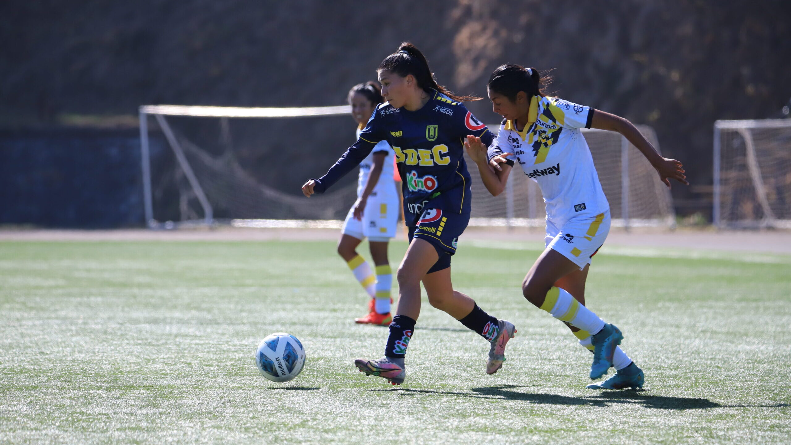 u de concepción vs coquimbo