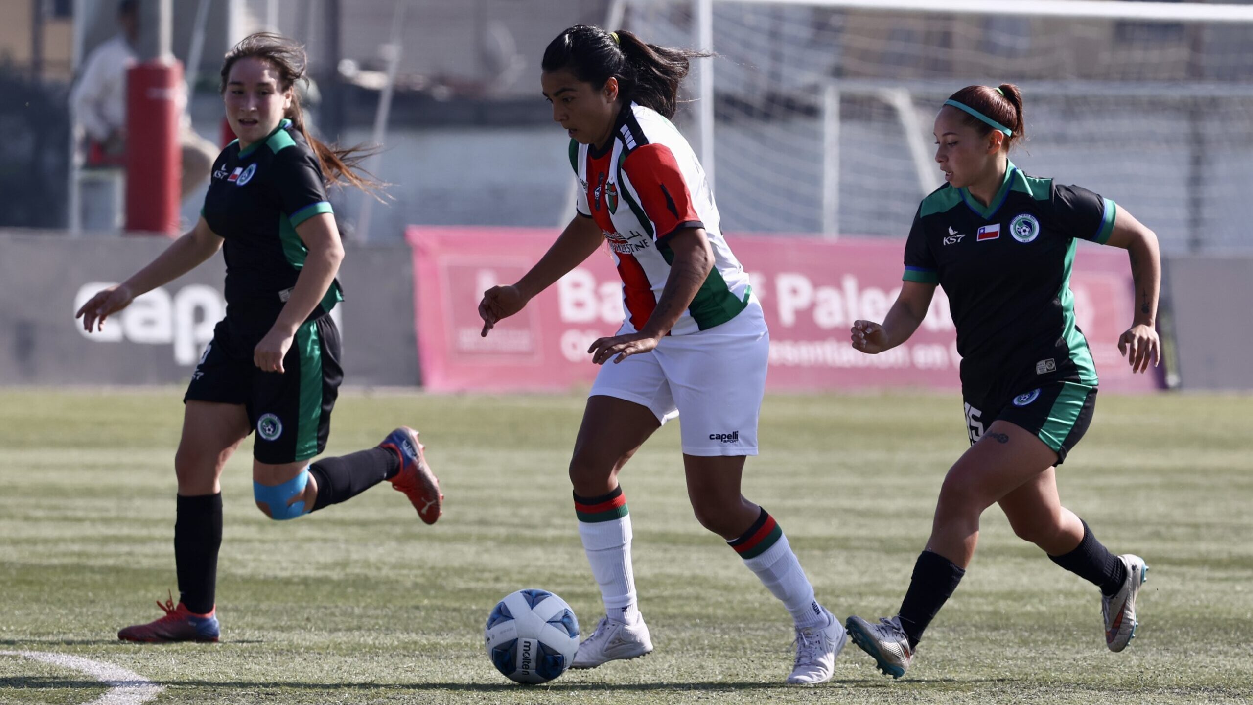 ¿Cómo y dónde ver en vivo la fecha 7 del Campeonato Femenino 2023?