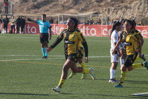 coquimbo vs vial