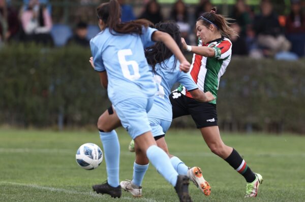 ¿Cómo y dónde ver en vivo la fecha 12 del Campeonato Femenino 2023?