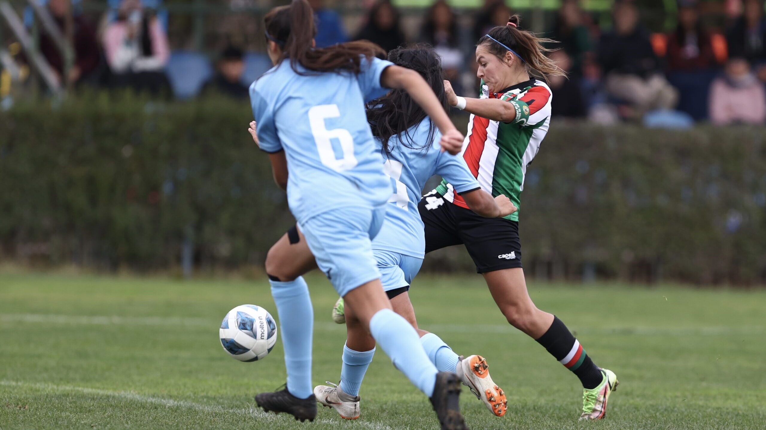 ¿Cómo y dónde ver en vivo la fecha 12 del Campeonato Femenino 2023?