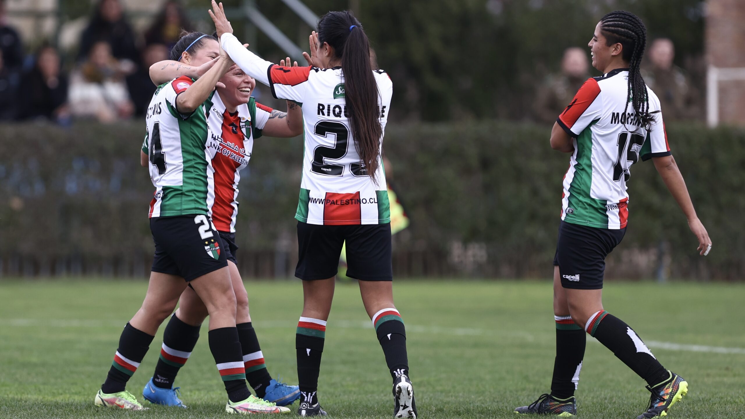 Palestino vence a un O’Higgins que no levanta cabeza