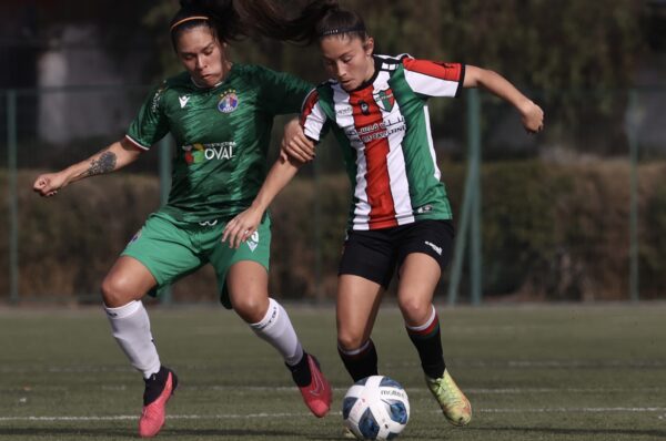 Audax Italiano se queda con el Clásico de Colonias ante Palestino
