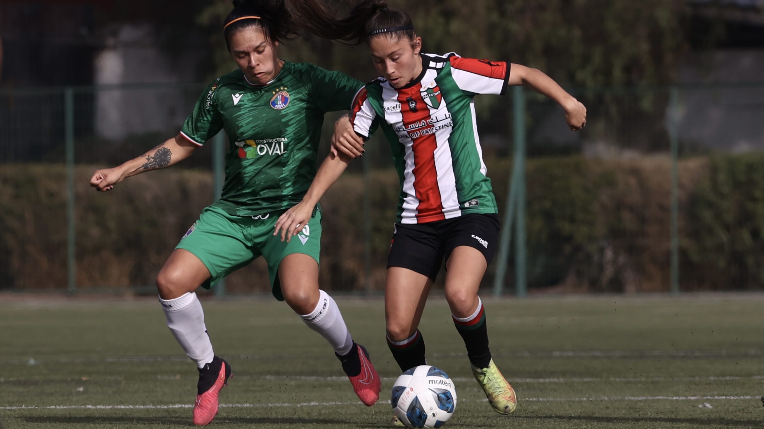 audax vs palestino