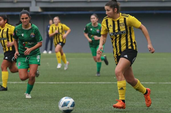 Audax Italiano y Fernández Vial reparten unidades en La Florida