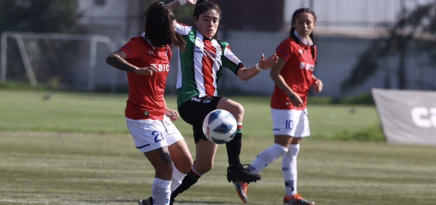 fecha 5 uc palestino