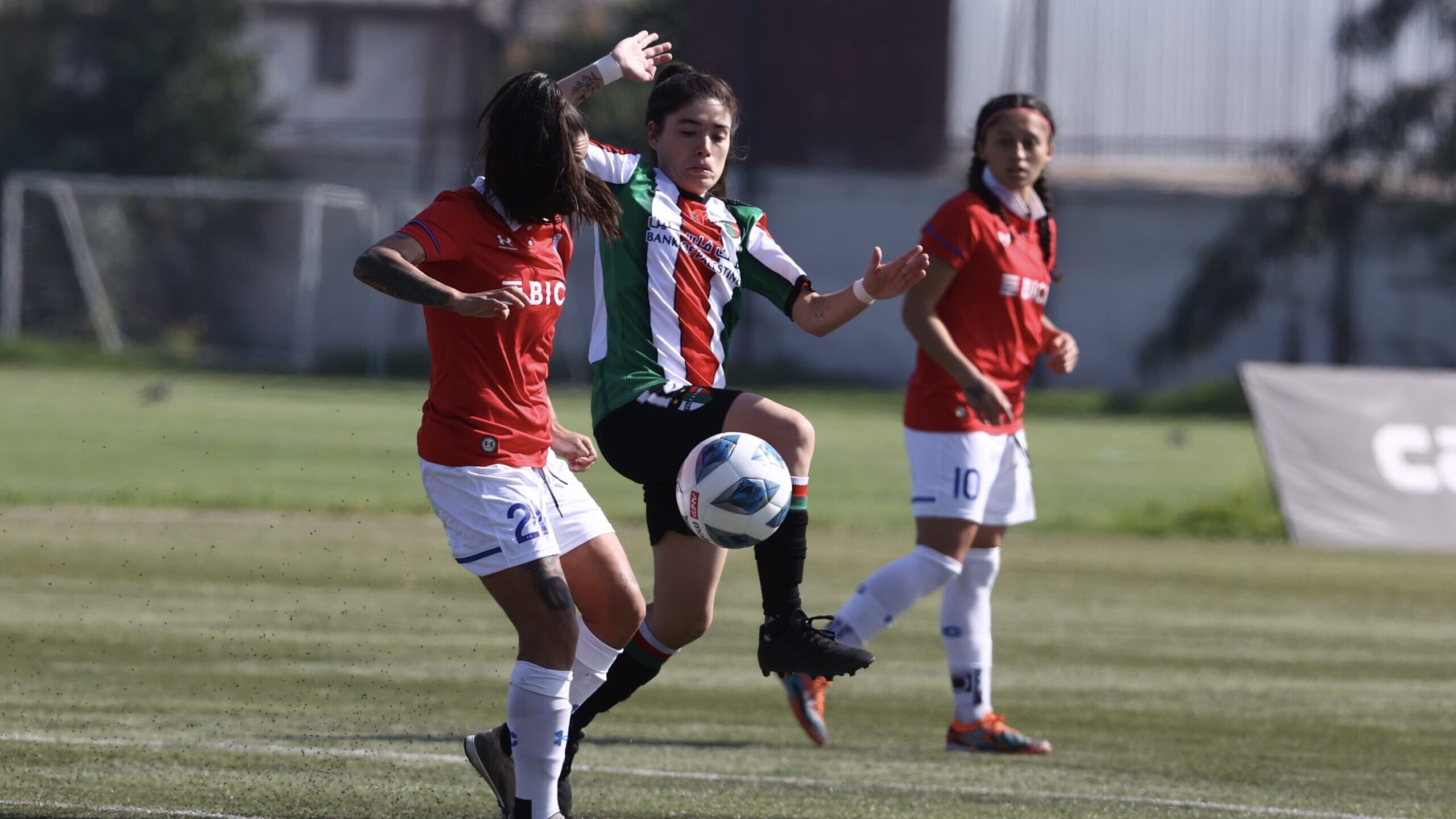 fecha 5 uc palestino