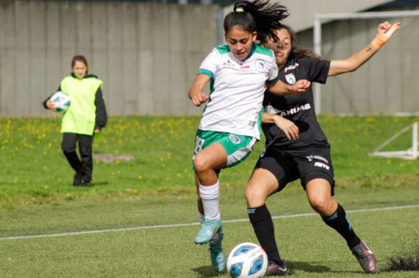 Deportes Iquique y Puerto Montt no se sacan ventaja en el Norte Grande