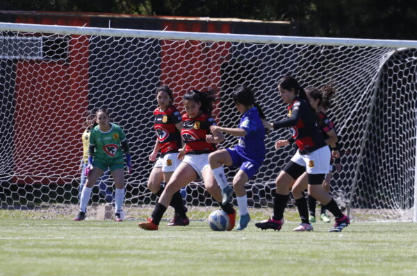 La programación de la fecha 8 del fútbol formativo juvenil y Sub-16