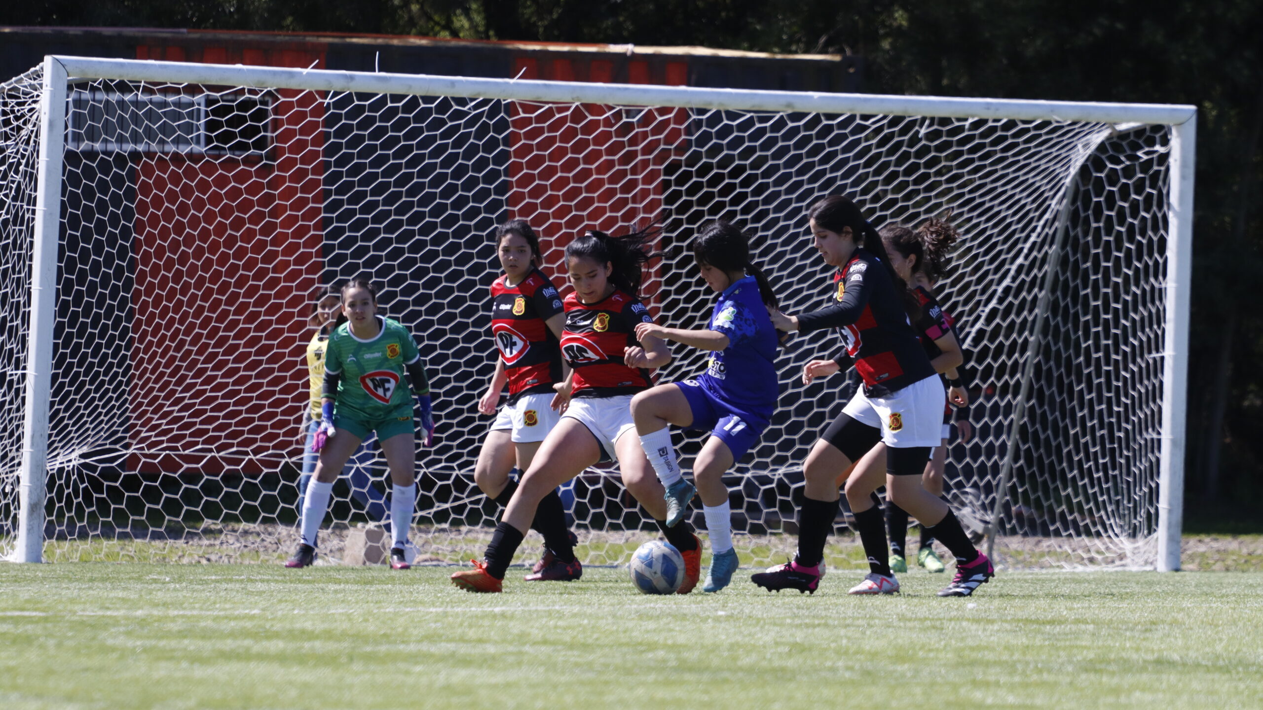 La programación de la fecha 8 del fútbol formativo juvenil y Sub-16