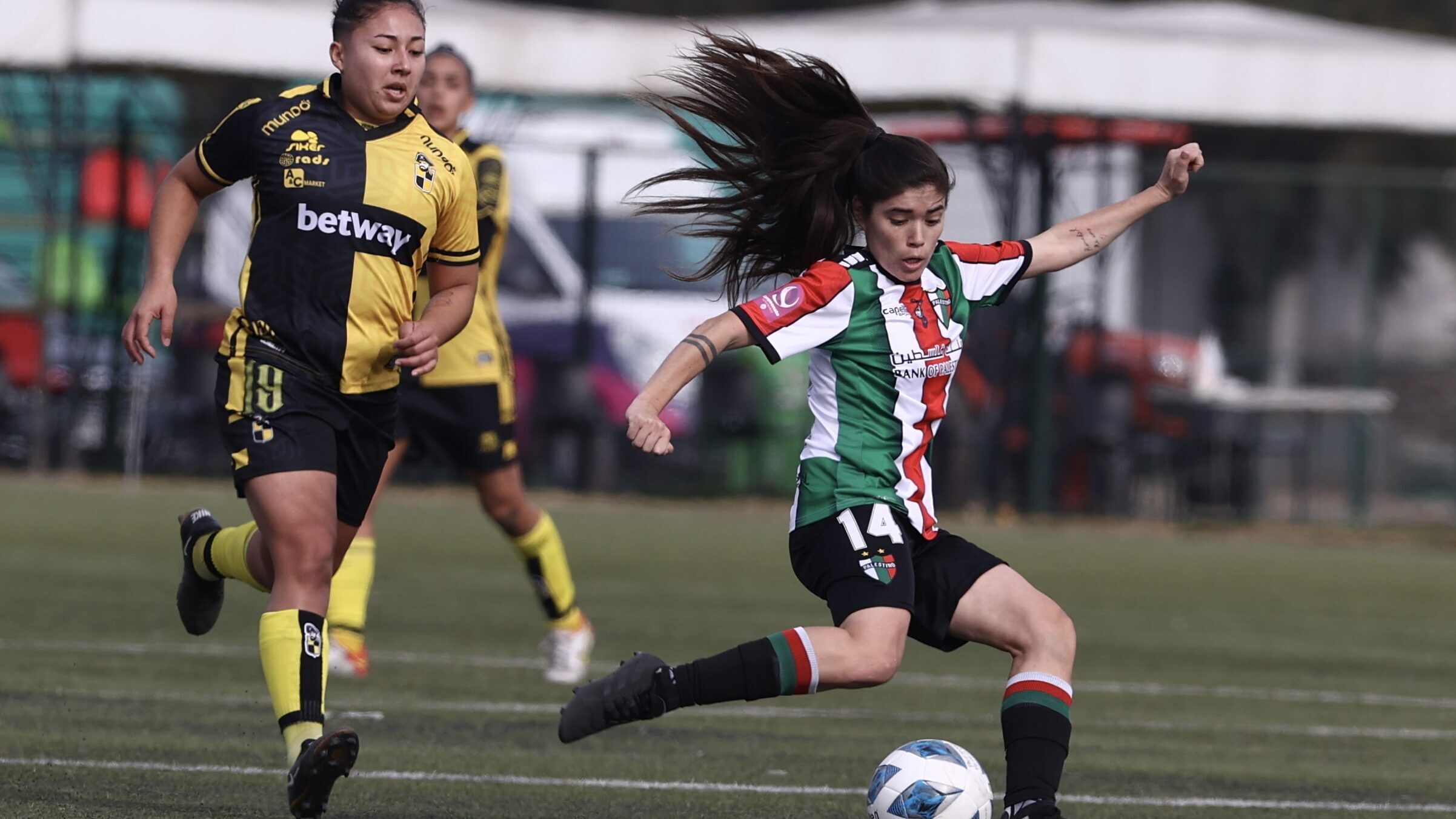 ¿Cómo y dónde ver en vivo la fecha 7 de la segunda rueda del Campeonato Femenino 2023?